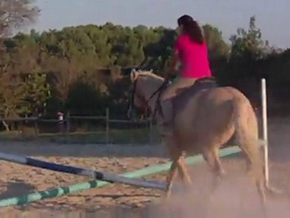 Nos premières barres