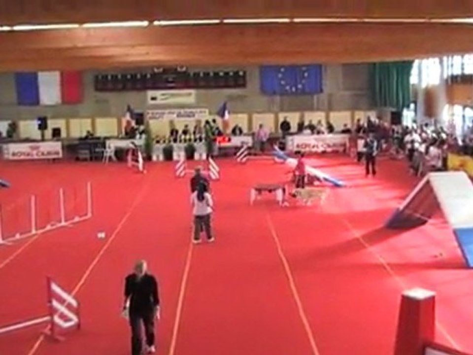 SARAH 1ERE MANCHE CHAMPIONNAT FRANCE JUNIOR AGILITY