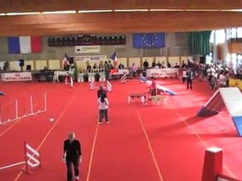 SARAH 1ERE MANCHE CHAMPIONNAT FRANCE JUNIOR AGILITY