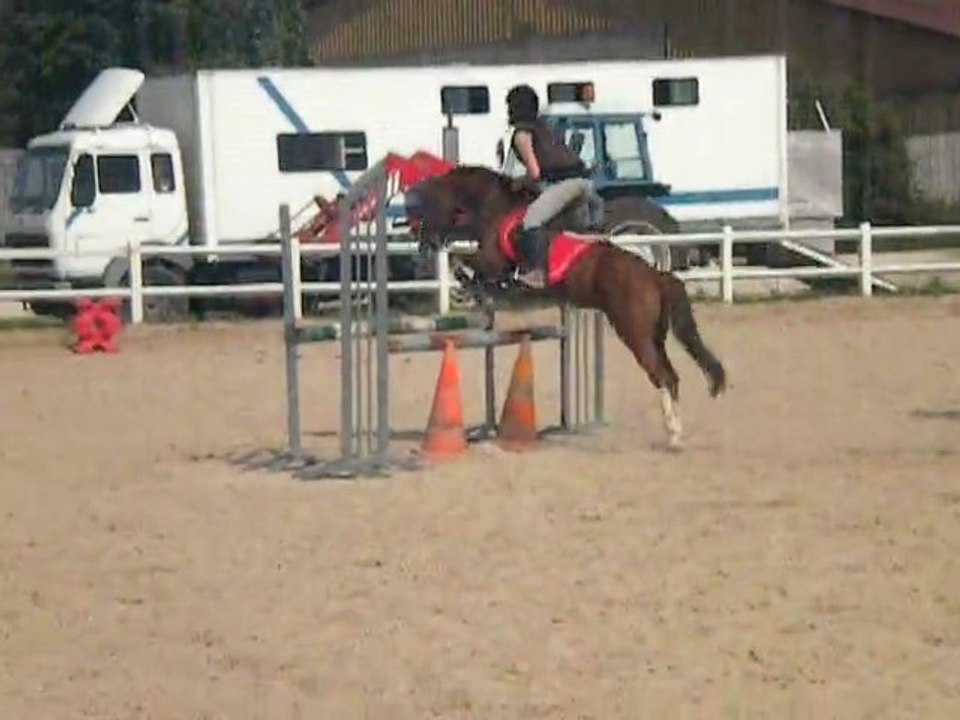 Mon galop 4 avec Loulou ♥