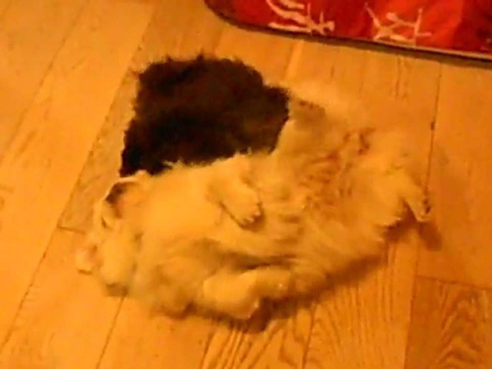 Lola et Lucas