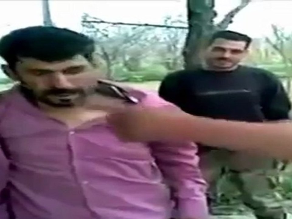 Theme Song For Occupy Wall Street (Bird In A Cage - written & performed by Alix Azoff)