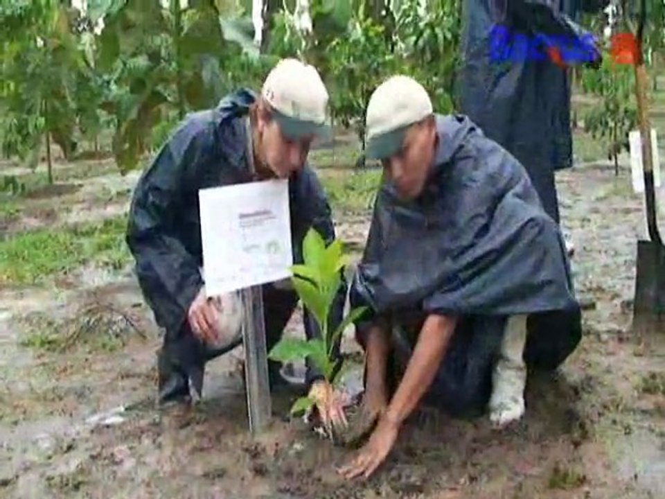 VIDEO REPORTAJE:: Ecoparque Vive Responsable de Backus en Pucallpa