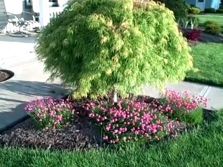 Tips on Landscape Design