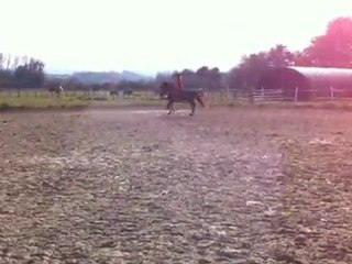 IMG_1123 Tango saut octobre 11