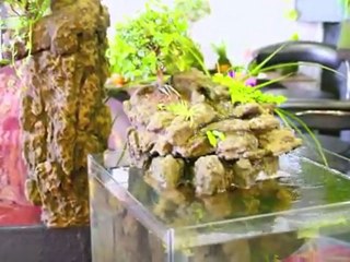 Eden3design Salon Art Design Objet Création 2011