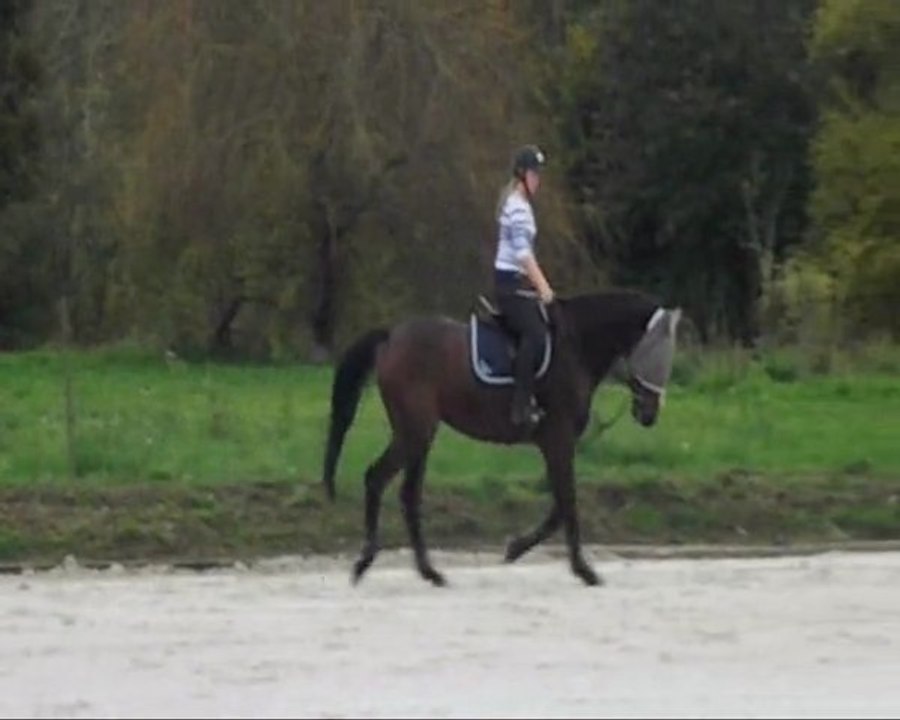 Cours de plat avec la Hie le 30 octobre