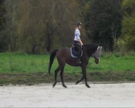 Cours de plat avec la Hie le 30 octobre