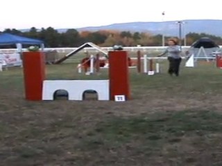 concour agility Isle sur la sorgue 2011