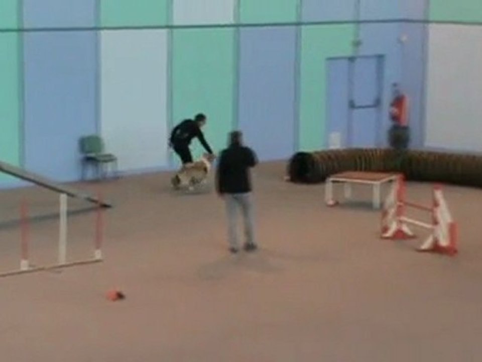 Tweed  2è degré Vaux 30 10 201