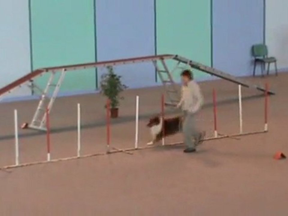 Cirius  2è degré Vaux 30 10 20