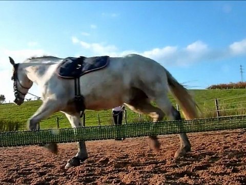 séance longe 31 octobre 2011