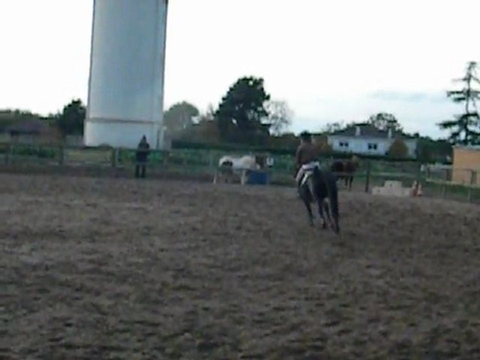 Tigalop du Bois-Brûlé & Tania.B en 80 au C-E du Bois Brûlé