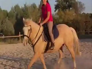 nos première barres