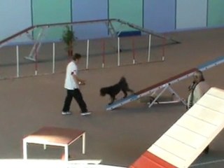 Elyte GPF Vaux 30 10 2011