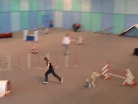 Choco Jumping Vaux 30 10 2011