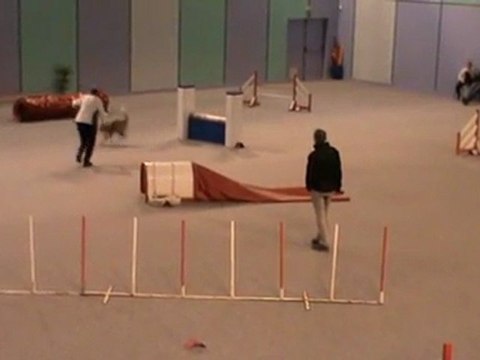 Danse Jumping +Vaux 30 10 2011