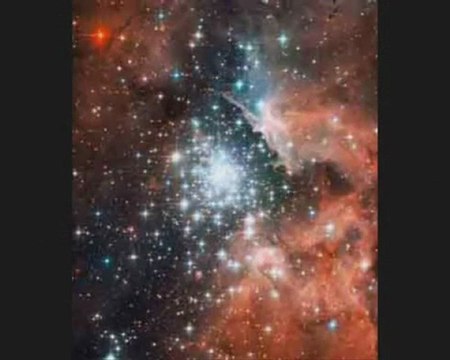 Brigitte Ribeiro Da-Silva 1