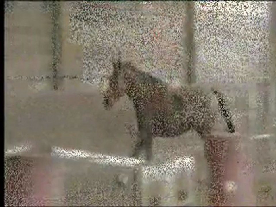 TEBELLE obs liberté