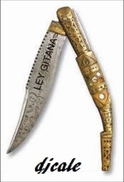 dj cale el kike y los rarrujos remix 2011