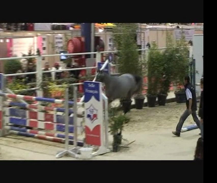 VIDEO UMA DES MUSES_0001