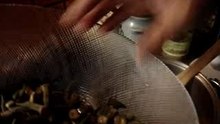 Okra 2 (4)
