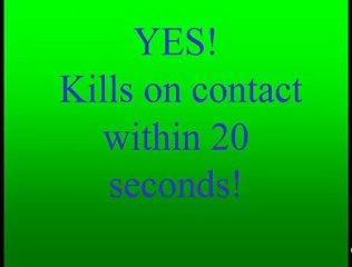 EcoSmart Home Pest Control Insect Killer