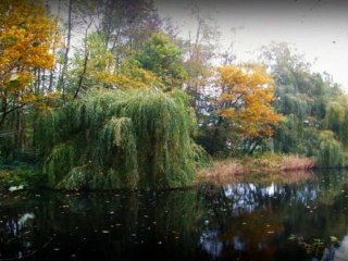 Rondje Door 't Park (Herema State, Joure)