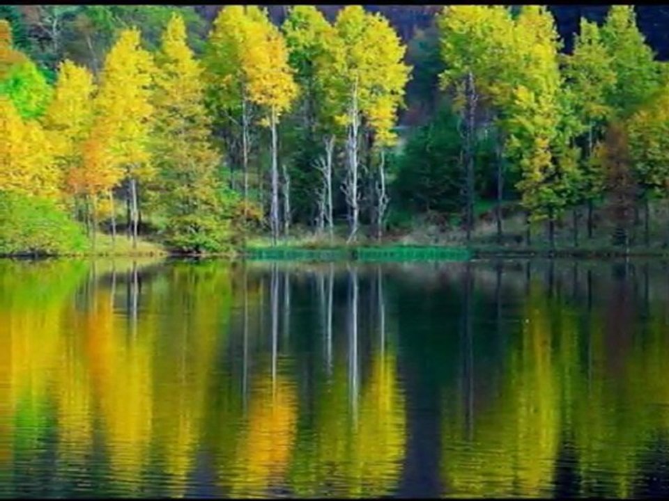 MUSA EROĞLU - NEM KALDI