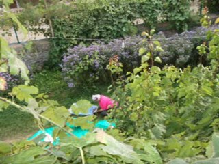 Nedim varol,Tufanbeyli,ADANA,(AYVATIN SAKİNLERİ. 2011 ) 2.