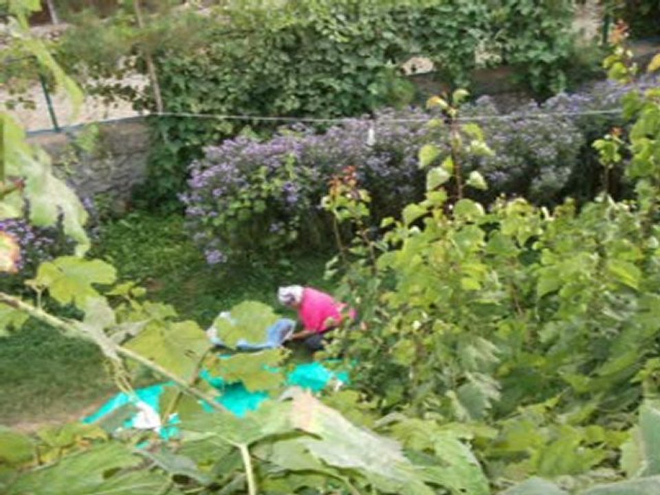 Nedim varol,Tufanbeyli,ADANA,(AYVATIN SAKİNLERİ. 2011 ) 2.