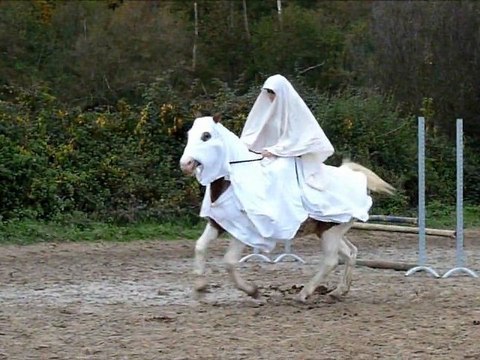 Concours déguisé aux Ecuries du Moulin (91)