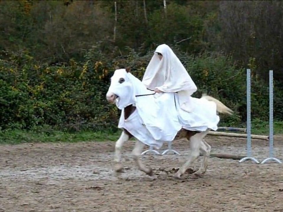Concours déguisé aux Ecuries du Moulin (91)