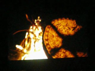 les deux chevaux de Gengis khan.