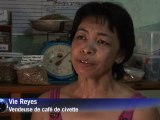 Philippines: les grains prédigérés, secret d'un café très prisé