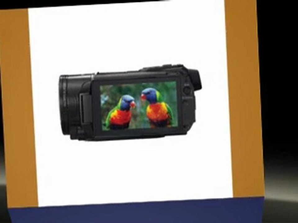 Canon VIXIA HF S30 Flash Memory Camcorder with ...