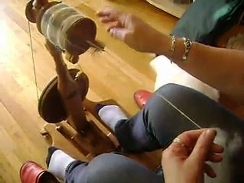 Filage poils de Samoyèdes