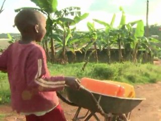 Les tuyaux, mais pas l'eau: en attendant l'eau potable à Yaoundé
