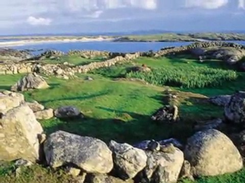 Les bruyères de Birdhill Anne Vanderlove