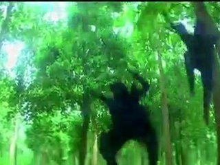 Thangamalai Thirudan fight 3