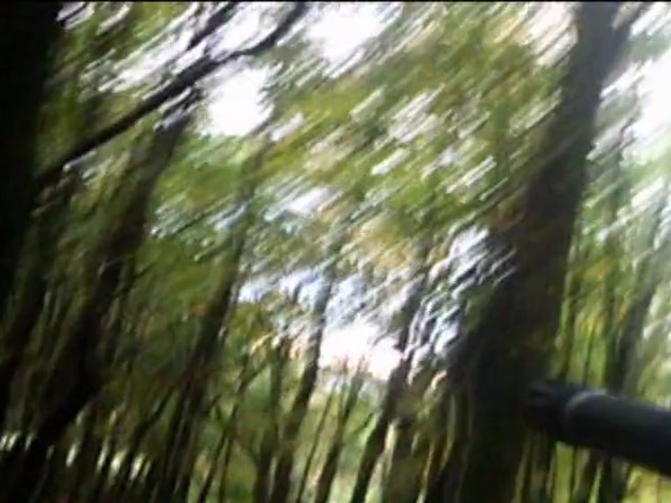 le bois des roches(version finale)