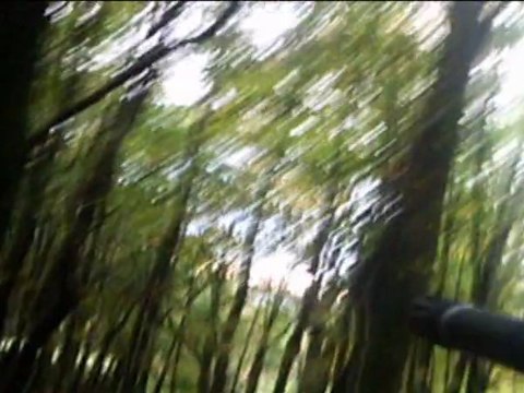 le bois des roches(version finale)