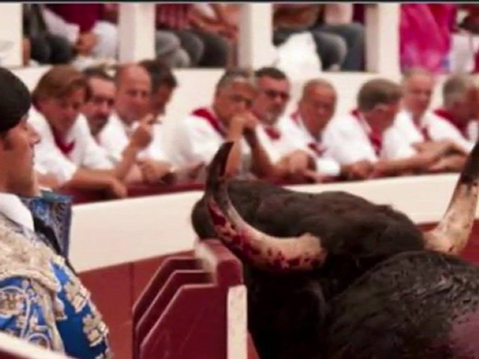 STOP BARBARIE !!!!