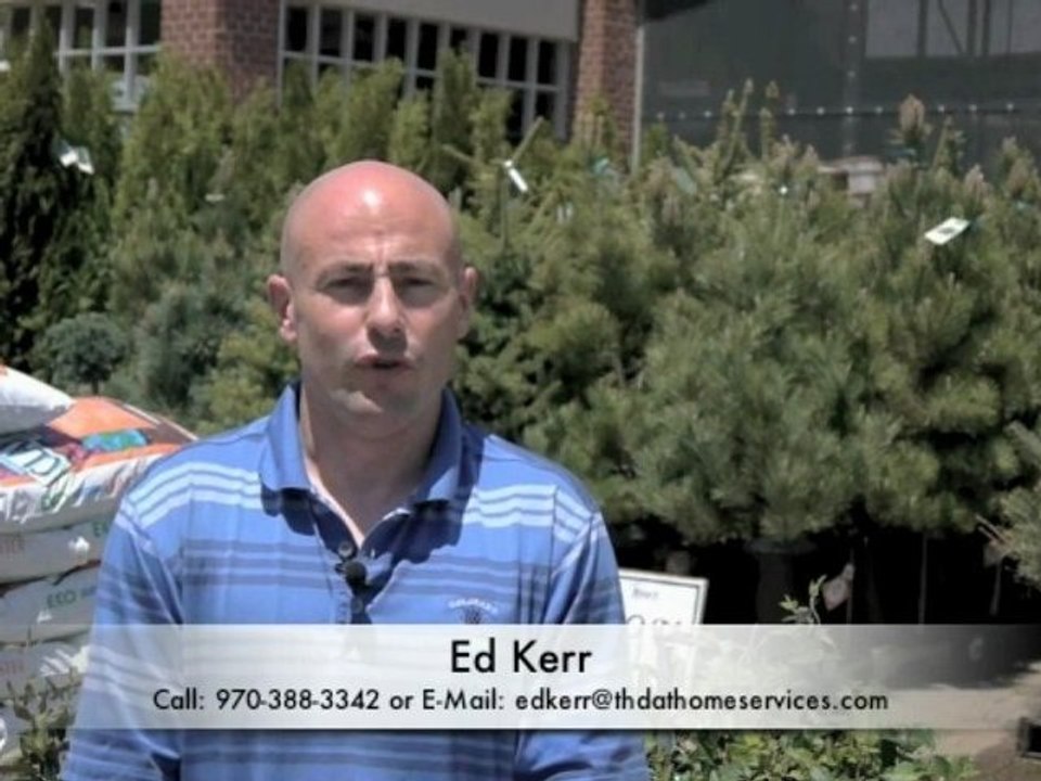 THDExteriors - Ed Speaks About Siding