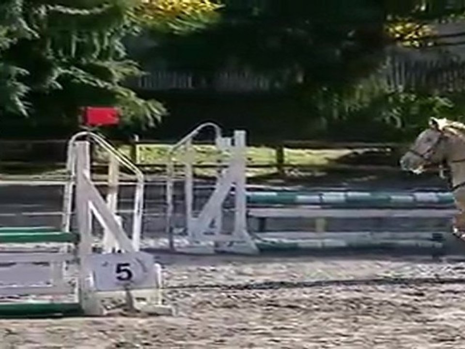 CSO Haras de Tarbes / Club2