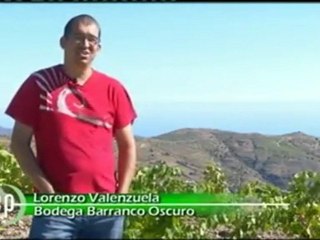 Vinos Naturales Vinos Ecológicos - Espacio Protegido Canal Sur