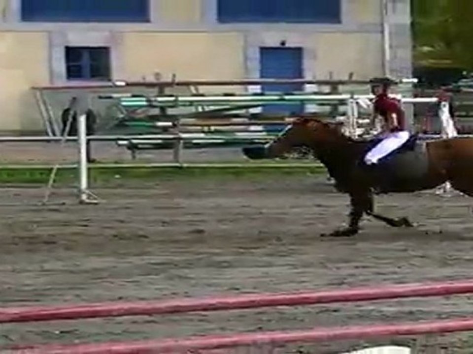 CSO Haras de Tarbes / Club2