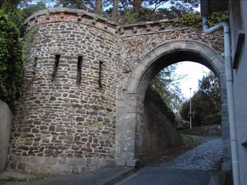 cassel 2011,aafm