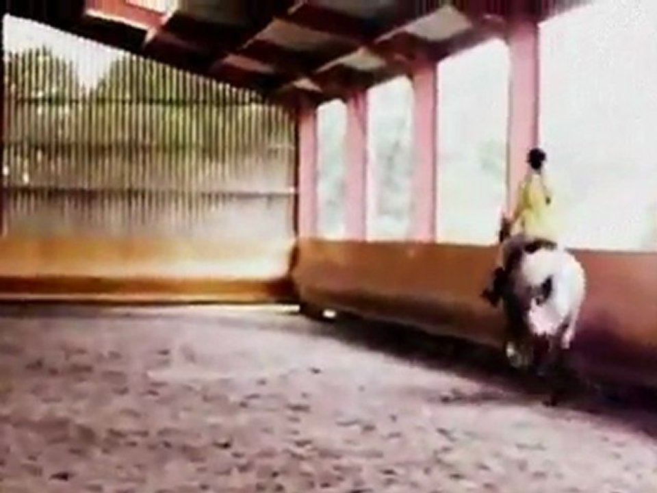 Counting crows colorblind