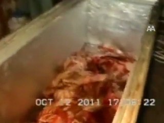 Müslüman ülkede insanlara domuz yedirilir mi?Diyenlere..